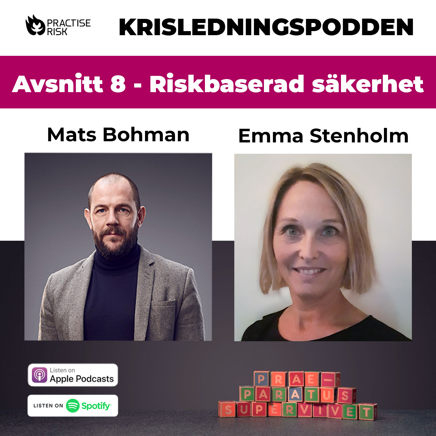 Riskbaserad säkerhet med Emma Stenholm