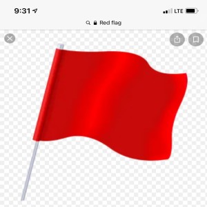 we cant love the red flags out of ppl
