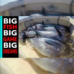 BIG Fish - BIG Game - Big Dreams (2023-1)
