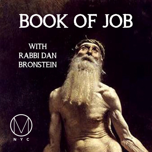 EPISODE 8: RABBI DAN ON JOB