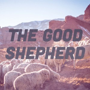The Lost Sheep || The Good Shepherd || Luke 15:1-7