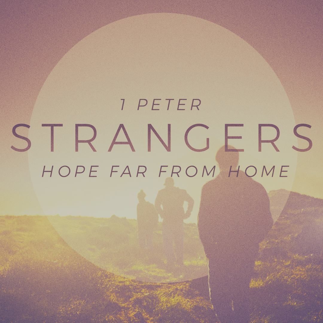 Strangers || Living Stones and Royal Priesthood || 1 Peter 2:1-10