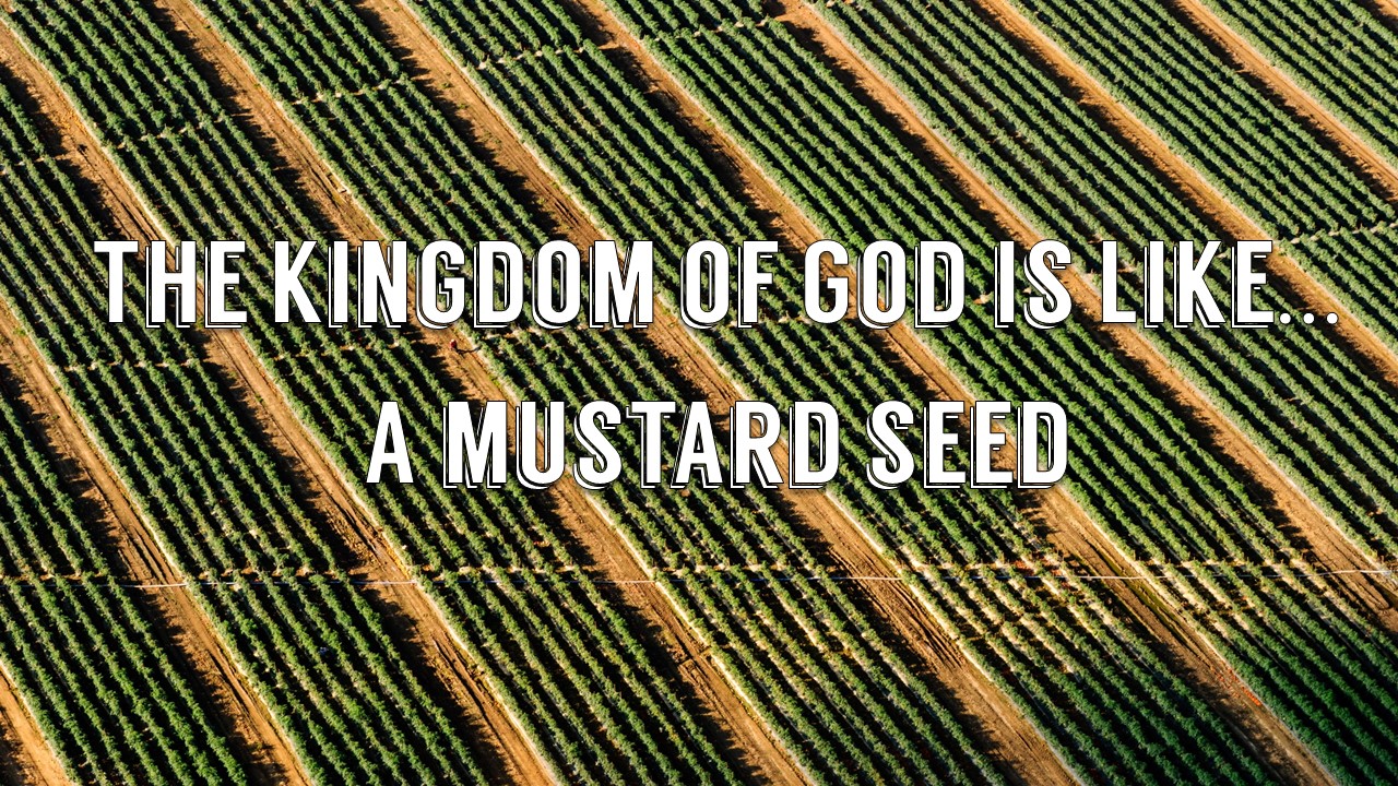 The Kingdom of God is Like...A Mustard Seed
