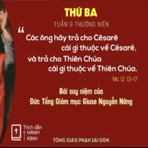 Suy niệm Lời Chúa: thứ Ba tuần 9 Thường niên - Đức TGM Giuse Nguyễn Năng