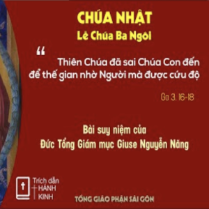 Suy niệm Lời Chúa: Chúa nhật lễ Chúa Ba Ngôi năm A - Đức TGM Giuse Nguyễn Năng