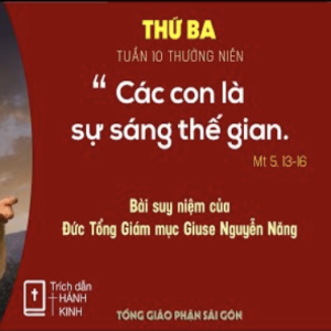 Suy niệm Lời Chúa: Thứ Ba tuần 10 Thường niên - Đức TGM Giuse Nguyễn Năng