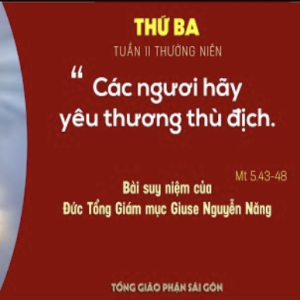 Suy niệm Lời Chúa: Thứ Ba tuần 11 Thường niên - Đức TGM Giuse Nguyễn Năng