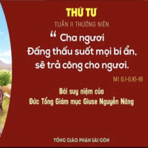 Suy niệm Lời Chúa: Thứ Tư tuần 11 Thường niên - Đức TGM Giuse Nguyễn Năng