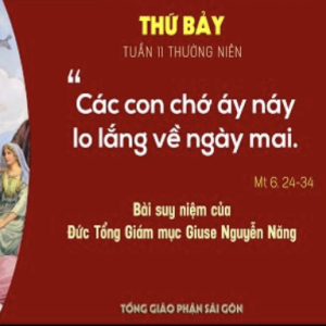 Suy niệm Lời Chúa: Thứ Hai tuần 12 Thường niên (Mt 7,1-5) - Đức TGM Giuse Nguyễn Năng