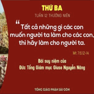 Suy niệm Lời Chúa: Thứ Ba tuần 12 Thường niên (Mt 7,6.12-14) - Đức TGM Giuse Nguyễn Năng