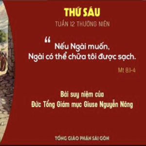 Suy niệm Lời Chúa: Thứ Sáu tuần 12 Thường niên (Mt 8,1-4) - Đức TGM Giuse Nguyễn Năng