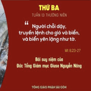 Suy niệm Lời Chúa: Thứ Ba tuần 13 Thường niên (Mt 8,23-27) - Đức TGM Giuse Nguyễn Năng