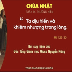 Suy niệm Tin mừng: Chúa nhật 14 Thường niên năm A - Đức TGM Giuse Nguyễn Năng