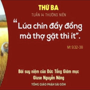 Suy niệm Tin mừng: Thứ Ba tuần 14 Thường niên (Mt 9,32-38) - Đức Tổng Giám mục Giuse Nguyễn Năng