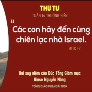 Suy niệm Tin mừng: Thứ Tư tuần 14 Thường niên (Mt 10,1-7) - Đức Tổng Giám mục Giuse Nguyễn Năng