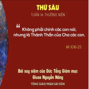 Suy niệm Tin mừng: Thứ Sáu tuần 14 Thường niên (Mt 10,16-23) - Đức Tổng Giám mục Giuse Nguyễn Năng