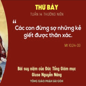 Suy niệm Tin mừng: Thứ Bảy tuần 14 Thường niên (Mt 10,24-33) - Đức Tổng Giám mục Giuse Nguyễn Năng