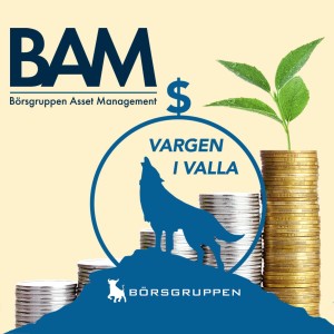 Vargen i Valla Avsnitt 2 - BAM