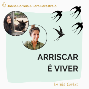#5 ARRISCAR ter coragem para viver experiências transformadoras com curiosidade e ambição pela realização.