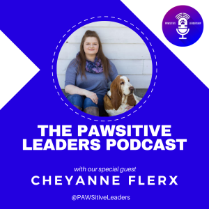 Latest & Greatest Marketing & Social Media Tools and Tips with Cheyanne Flerx