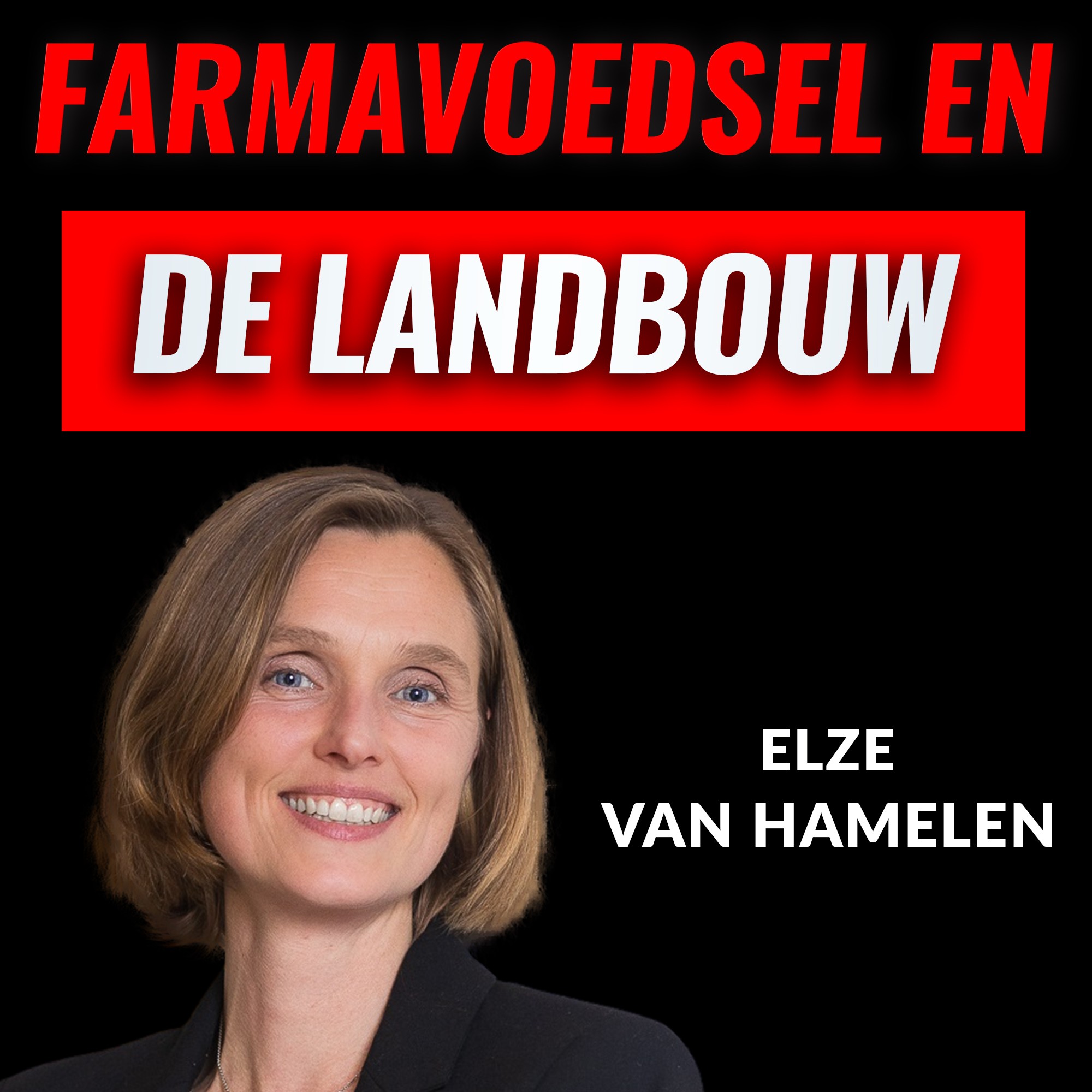 Hete Hangijzers