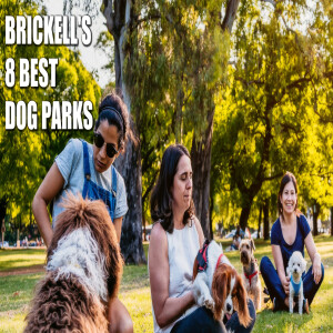 Brickell's Top 8 Dog Parks