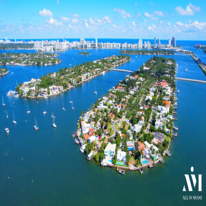 Palm Island | Hibiscus Island, Miami, Florida - EVERYTHING You Want to Know!