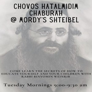Chovos Hatalmidim (6) Indepence Before Maturity(R' Binyomin Weinrib)