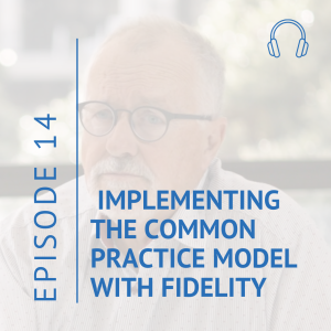 Implementing the Common Practice Model with fidelity - Part 2