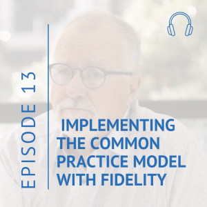 Implementing the Common Practice Model with fidelity - Part1