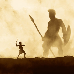 11 december: David