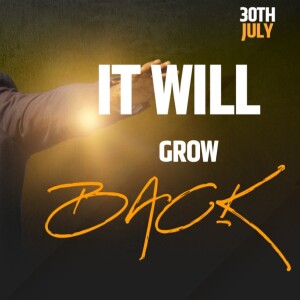 It Will Grow Back || Bishop Dr. Dodzweit Achero || 30.07.2023 #itsamovement