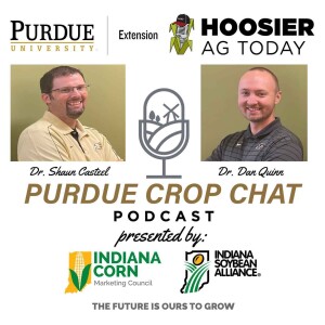 Purdue Crop Chat Episode 34, Corn, Soybean, & Wheat Management in Short Fieldwork Windows