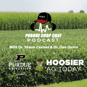 Purdue Crop Chat Episode 29, Potential Cost Cutting Moves Amid Rising Input Costs