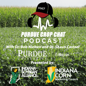 Purdue Crop Chat Podcast 22, Crop Update and a Check on Disease