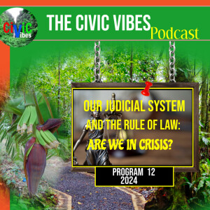 Our Judicial System And the Rule of Law: Are we in Crisis?