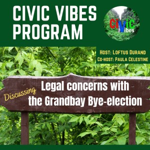 Grandbay  Bye-election - The legal Issues