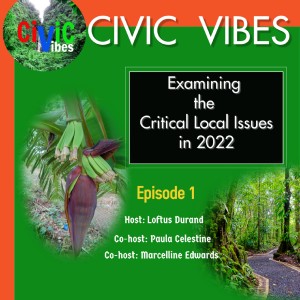 Civic Vibes First Program for 2022