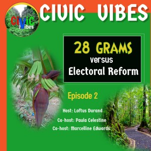 28 grams versus Electoral Reform