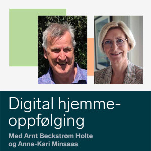 Digital inkludering - et brukerperspektiv