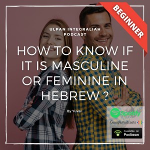 How to know if it is masculine or feminine in Hebrew ? (Beginner Level) | Learn Hebrew for Free with Ulpan Integraliah Podcast