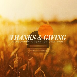 Gratefulness or Thankfulness? | THANKS & GIVING