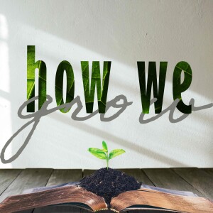 In the Community of God | HOW WE GROW