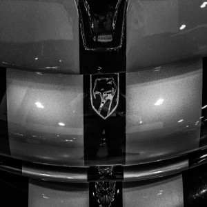 The Dodge Viper Dilemma!