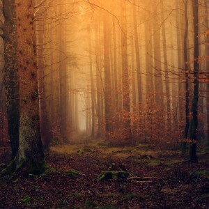 Into the Mystic: Navigating Life’s Spiritual Back Alleys Part 1
