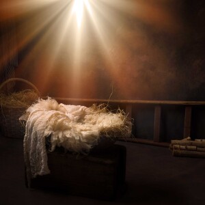 Expecting the Unexpected: Stable Life Lessons