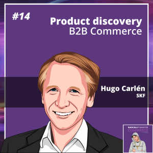14. Product discovery B2B Commerce