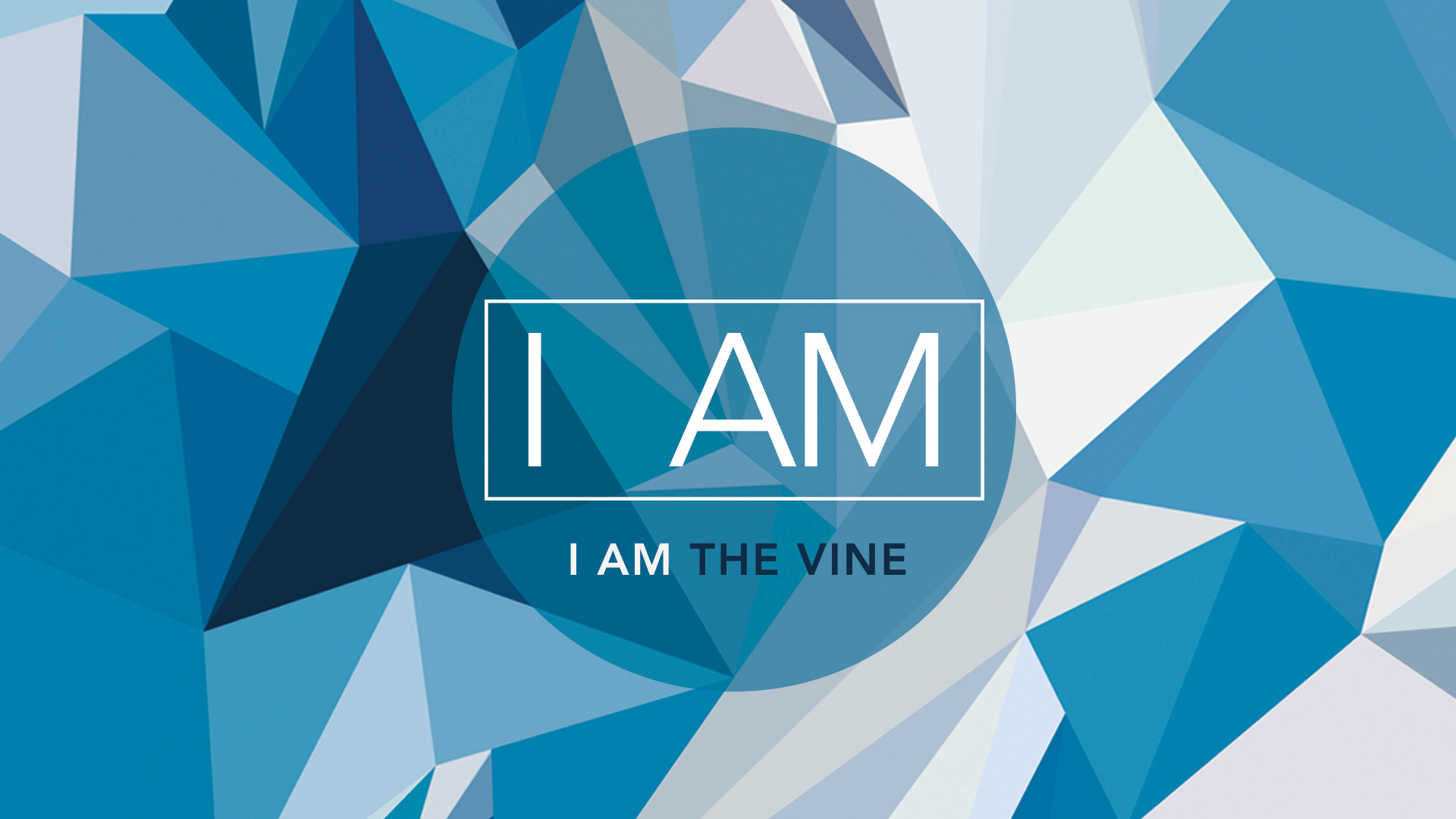 I am: The Vine