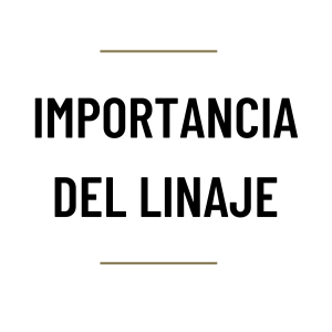 MH59 – Importancia del linaje