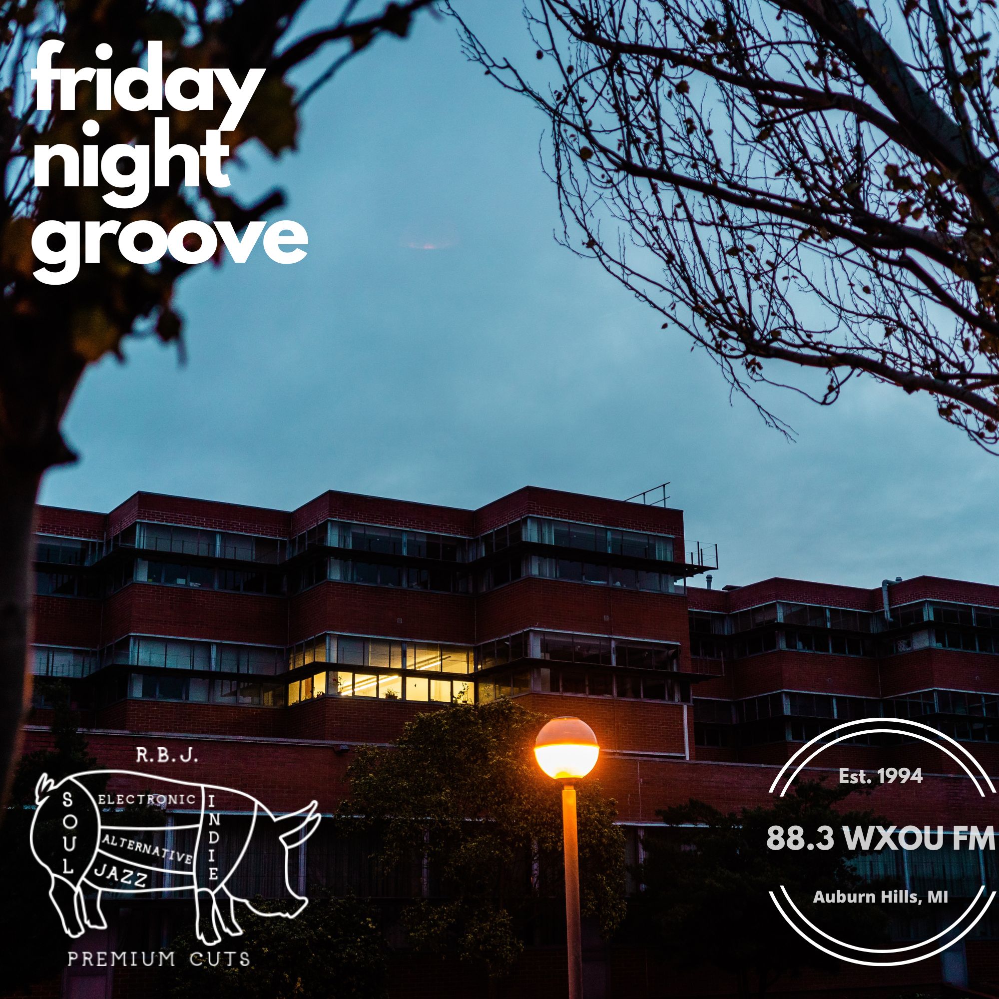 Friday Night Groove